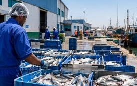 Nouakchott electricity cuts threaten Mauritania’s fish-freezing industry