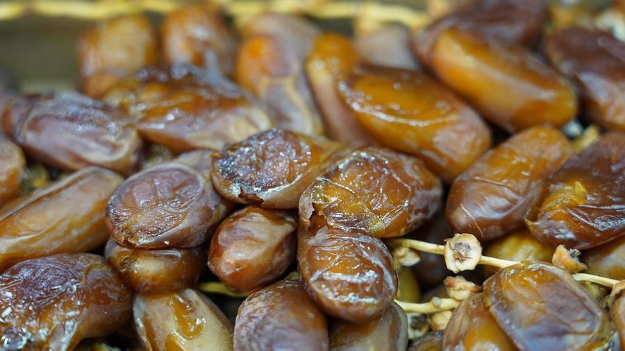 Drâa-Tafilalet drives Morocco’s date sector as 2026-2027 season begins