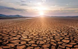 Freshwater resources deteriorate further after one of the driest years in decades, WMO warns