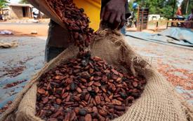 Cacao en Côte d’Ivoire : les producteurs lancent une grève illimitée
