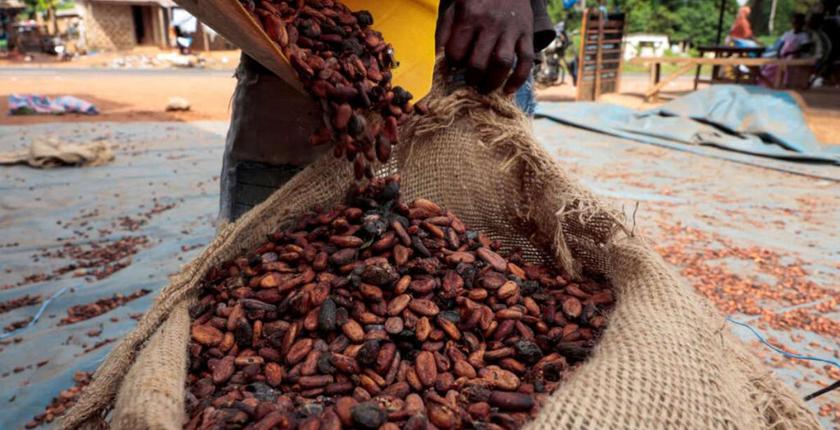 Cacao en Côte d’Ivoire : les producteurs lancent une grève illimitée
