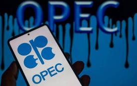 Marruecos asegura financiamiento de $150 millones del Fondo OPEP para proyectos de represas