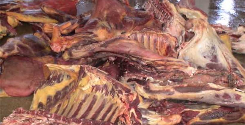 حجز أزيد من 600 كلغ من اللحوم الفاسدة في تيط مليل