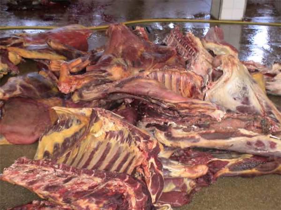 حجز أزيد من 600 كلغ من اللحوم الفاسدة في تيط مليل