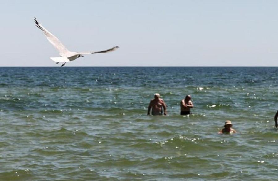Azov Sea salinity reaches historic levels as freshwater inflows decline