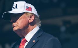 Trump praises AfD victory in Germany and links it to voter anger over migration