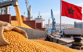 Maroc : les importations de maïs argentin bondissent de 133 % en 2026
