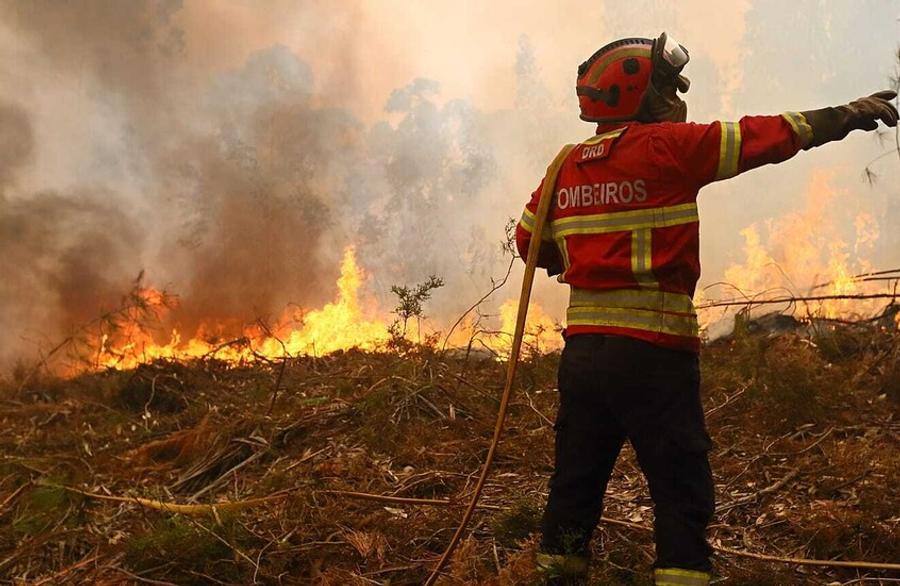 Portugal urges EU to fund shepherds behind ‘firefighting goats’ strategy
