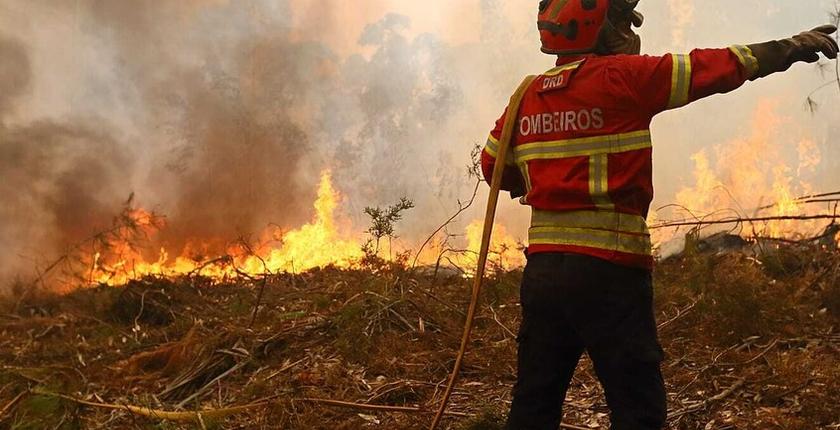 Portugal urges EU to fund shepherds behind ‘firefighting goats’ strategy