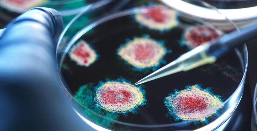 Nuevos anticuerpos ofrecen esperanza para prevenir la infección por el virus de Epstein-Barr