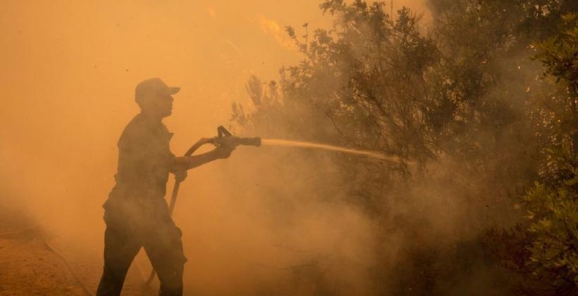 Incendies de forêt : six provinces marocaines placées en risque extrême jusqu’au 15 septembre