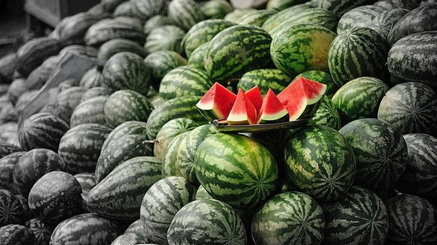 تدفق الدلاح المغربي يثير غضب المنتجين الإسبان