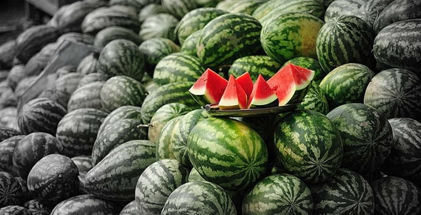 تدفق الدلاح المغربي يثير غضب المنتجين الإسبان