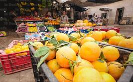 Dakhla : les prix à la consommation reculent de 0,3 % en juin
