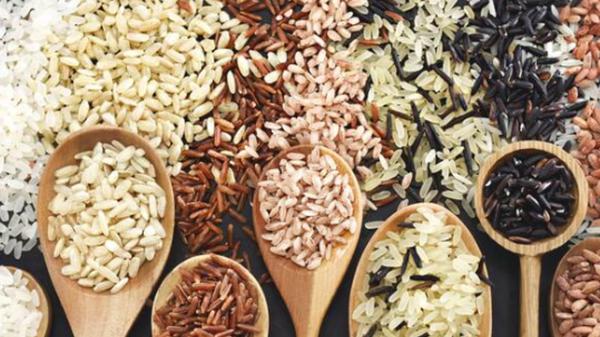 Riz basmati, complet, rouge ou sauvage : lequel choisir pour mieux manger ?