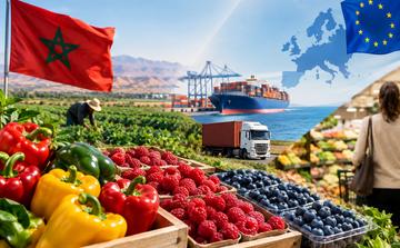 Morocco’s agricultural exports surge as questions grow over the domestic market