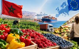 Morocco’s agricultural exports surge as questions grow over the domestic market