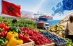 Morocco’s agricultural exports surge as questions grow over the domestic market
