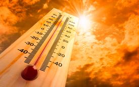 Climat : la Tunisie confrontée à son mois d’août le plus chaud depuis 1950