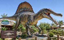 Dinosaures : le Spinosaurus du plateau de Kem Kem s’expose à Crocoparc Agadir