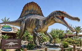 Dinosaures : le Spinosaurus du plateau de Kem Kem s’expose à Crocoparc Agadir