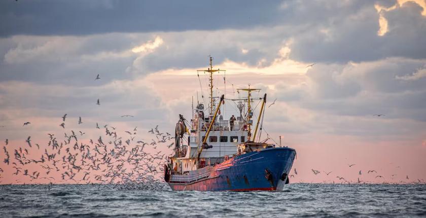 Port de Mehdia : les débarquements de la pêche côtière et artisanale reculent de 35 % à fin août