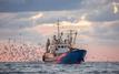 Port de Mehdia : les débarquements de la pêche côtière et artisanale reculent de 35 % à fin août