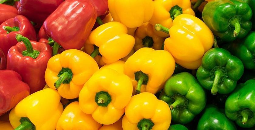 Poivrons marocains : les exportations vers le Royaume-Uni bondissent de 60%