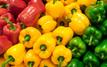 Poivrons marocains : les exportations vers le Royaume-Uni bondissent de 60%