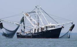 Tarfaya : les débarquements de la pêche bondissent de 44% à fin août 2026
