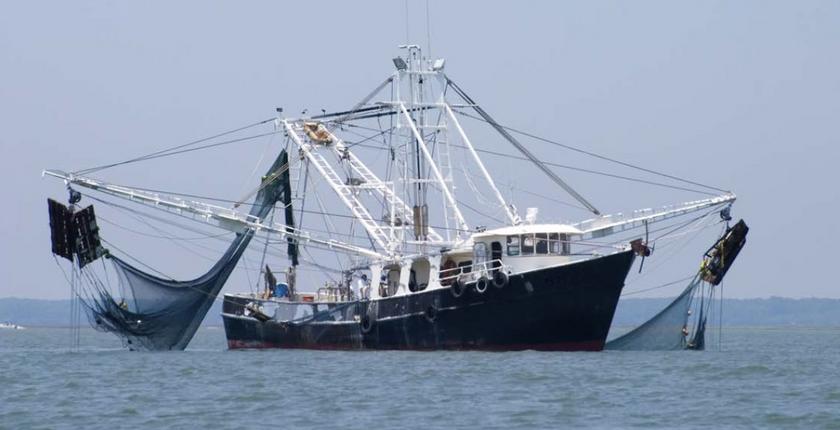 Tarfaya : les débarquements de la pêche bondissent de 44% à fin août 2026