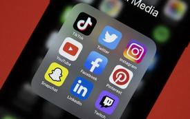 WhatsApp remains Morocco’s leading social platform as TikTok gains ground