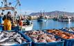 Pêche à Nador : les débarquements reculent de 8% à fin août 2026