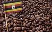 Morocco rises to fourth among Uganda’s leading coffee export markets