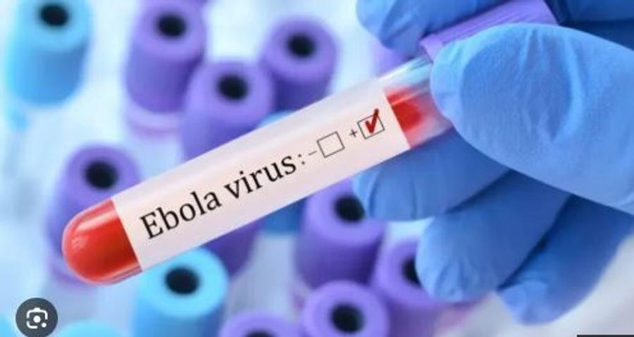 الكونغو الديمقراطية تسجل أزيد من 7 آلاف إصابة بفيروس إيبولا