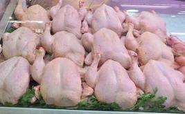 أونسا يوجه توصيات بسبب لحوم الدجاج