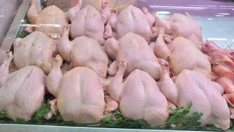 أونسا يوجه توصيات بسبب لحوم الدجاج