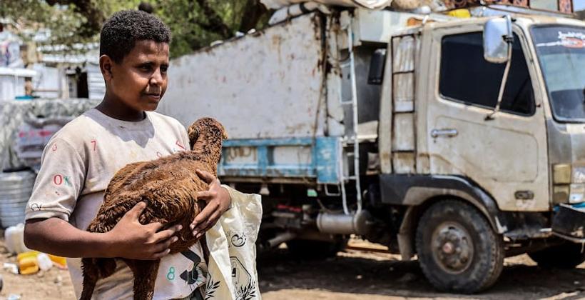 Yemen: Temmuz ayından bu yana 76.000'den fazla kişi yerinden edildi