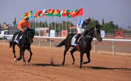 Casablanca : Costa Fal s’impose au Grand Prix d’Afrique 2026