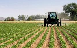 Rwanda : plus de 14 milliards de dollars pour transformer durablement l’agriculture
