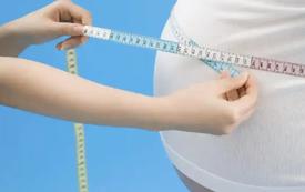EU obesity rate reaches one in six adults, Eurostat reports