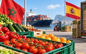 Espagne : les importations de fruits et légumes marocains approchent 950 millions d’euros au premier semestre 2026