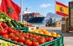 Espagne : les importations de fruits et légumes marocains approchent 950 millions d’euros au premier semestre 2026