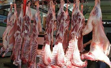 Viandes ovines au Maroc : les importations peinent encore à faire baisser les prix