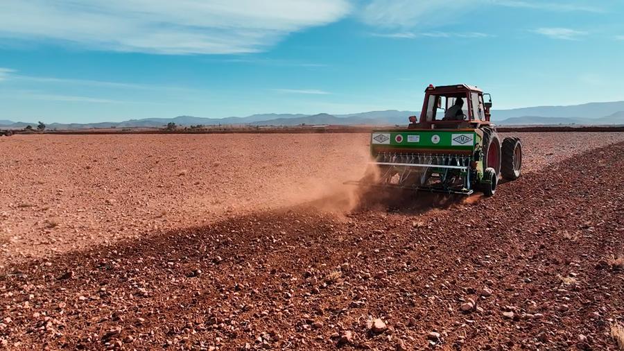 Agriculture durable : le semis direct révolutionne les champs d’Oujda-Angad