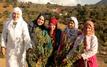 Rural Moroccan women face enduring inequality and daily struggles