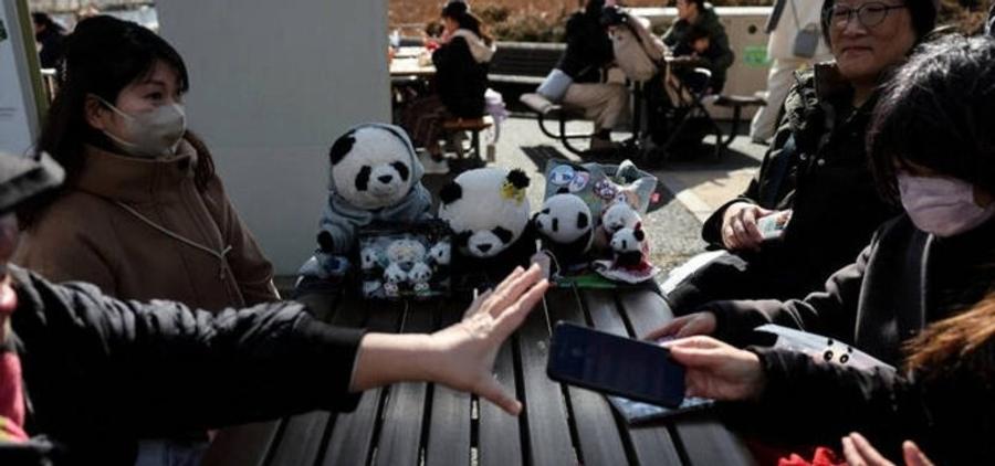 Fans bid farewell to Japan’s last giant pandas