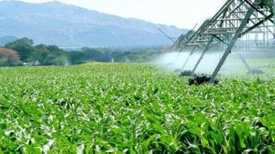 Commerce agricole africain : ces cinq pays qui parviennent à inverser la balance
