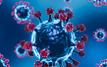 Virus Nipah : l’Inde maintient une surveillance renforcée après deux cas isolés