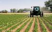 L’agrégation agricole au Maroc : un outil pour encadrer les prix et réduire la spéculation ?
